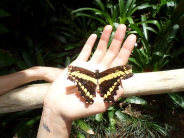 Vahvistu voimanaiseksi- valmennus 14.4.2016