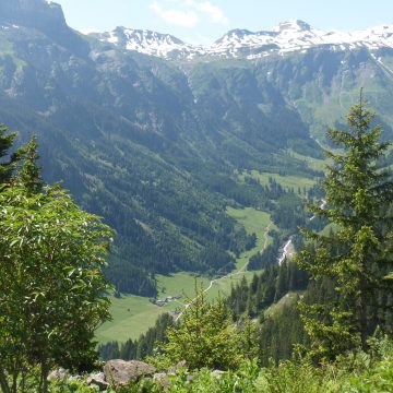 Tunnista ja vahvista resilienssiä työelämässä – lisää tuloksellisuutta ja työhyvinvointia muutoksissa