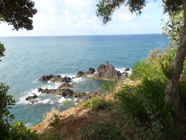 Osaamisen katvealueet ja avoimuus