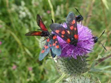Coach kaipaa sosiaalisen ympäristön havainnointia lomallaankin, mutta leppoisissa merkeissä!