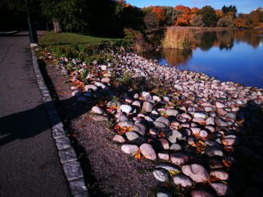 Lokakuu – aika käydä kehityskeskustelua itsensä kanssa