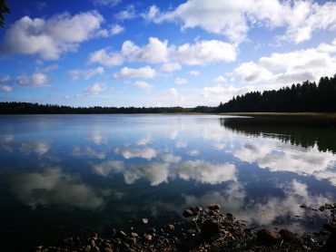 Millaisen tilinpäätöksen laadit itsellesi?