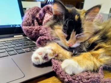 Menikö päivä etänä, hyvä vai huono juttu?