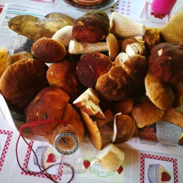 Uusi harrastus, hupi vai hyöty?